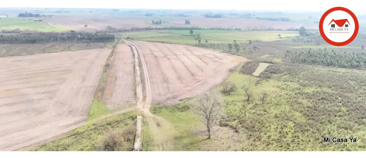 Campo en Punta del Este, propiedad 286740 -Imagen 25