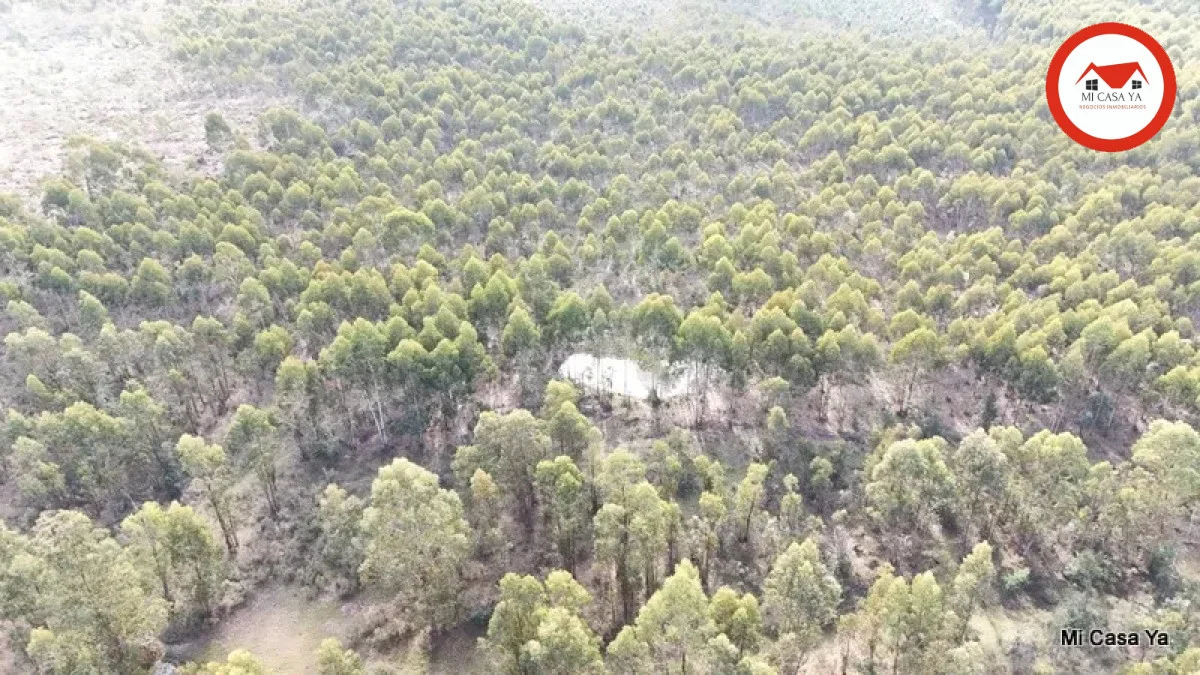 Campo en Punta del Este, propiedad 286740 -Imagen 5