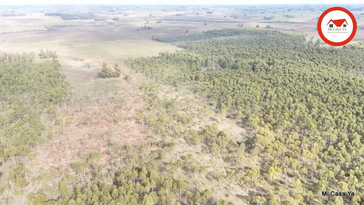 Campo en Punta del Este, propiedad 286740 -Imagen 6