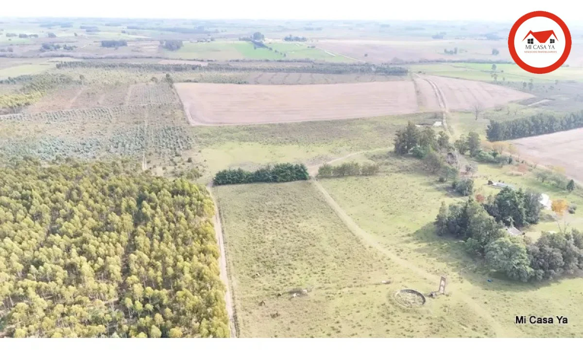 Campo en Punta del Este, propiedad 286740 -Imagen 8