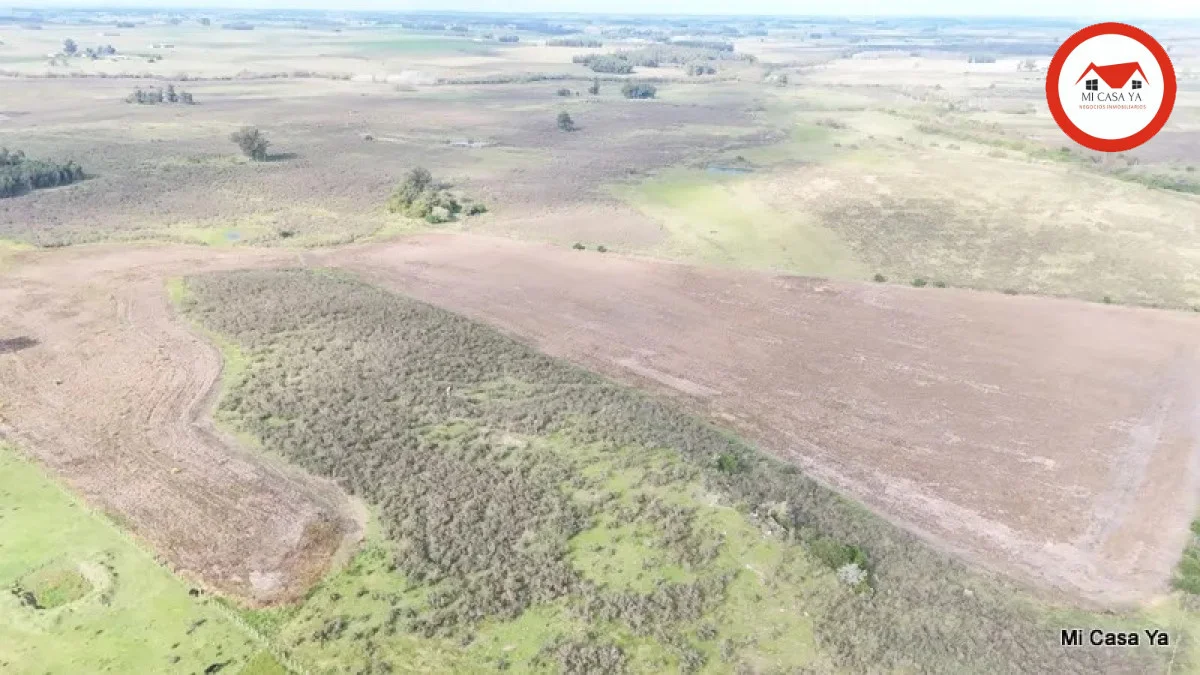 Campo en Punta del Este, propiedad 286740 -Imagen 9