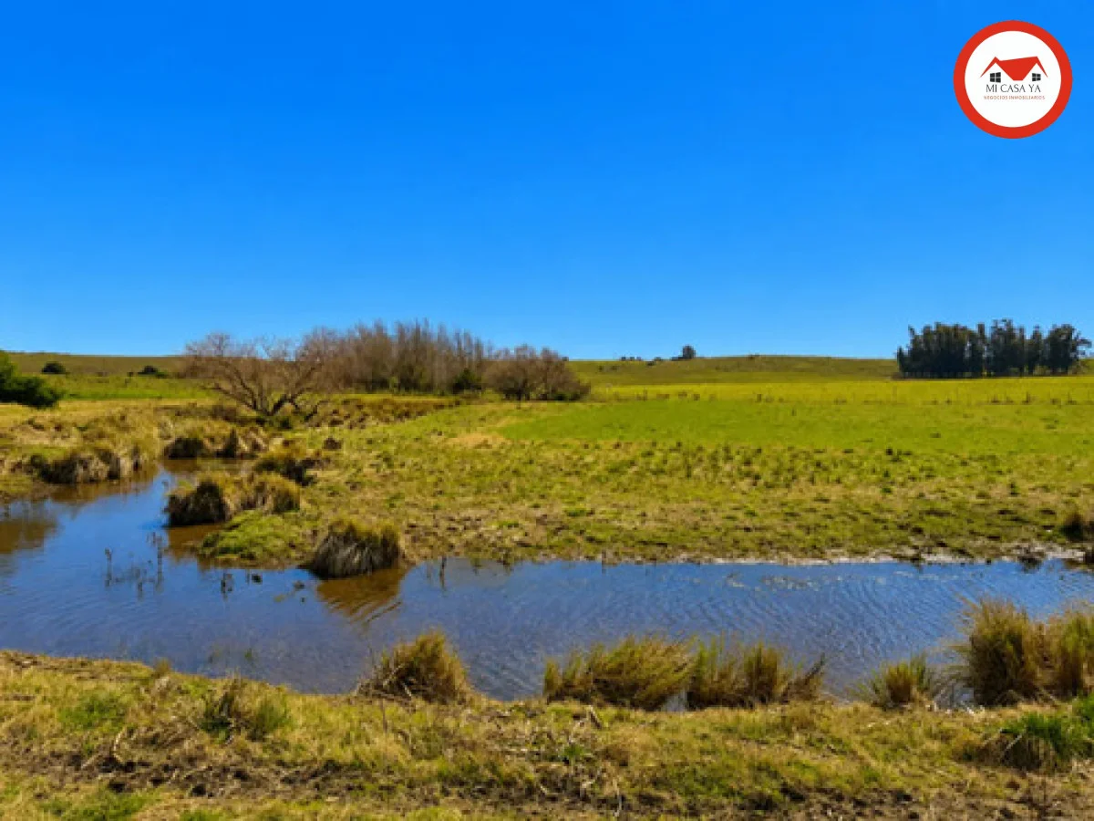 Chacra en San Jacinto, propiedad 288649 -Imagen 10