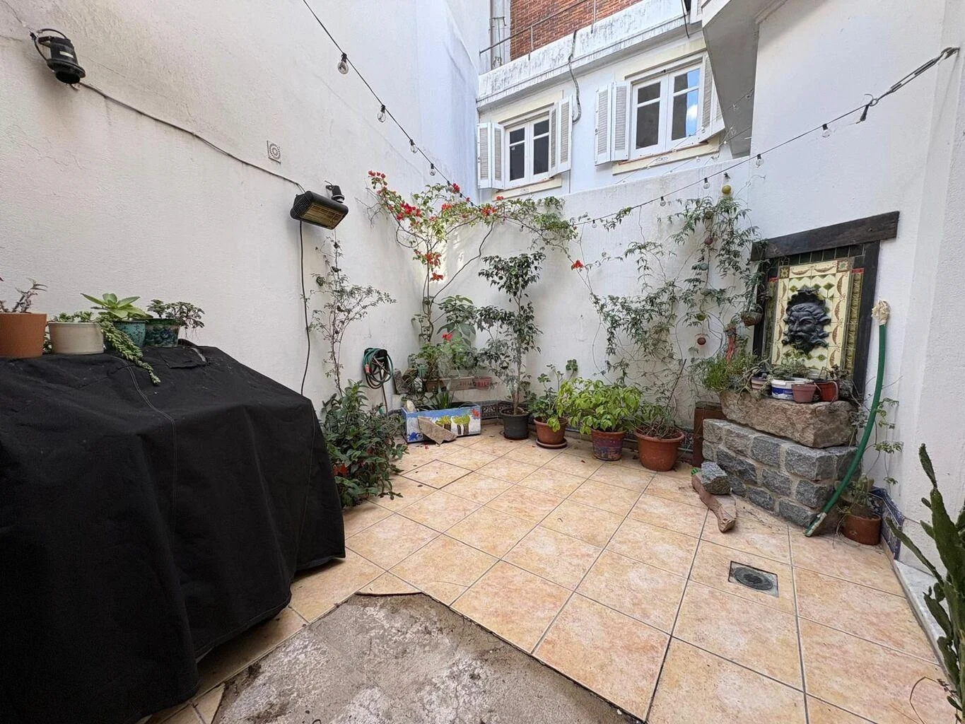Casa en Punta Carretas, propiedad 273484 -Imagen 8