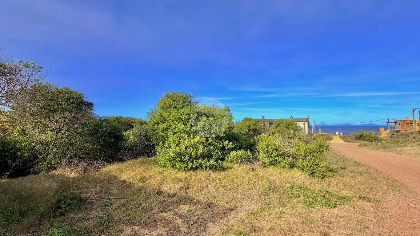 Terreno en La Viuda, propiedad 283591 -Imagen 11