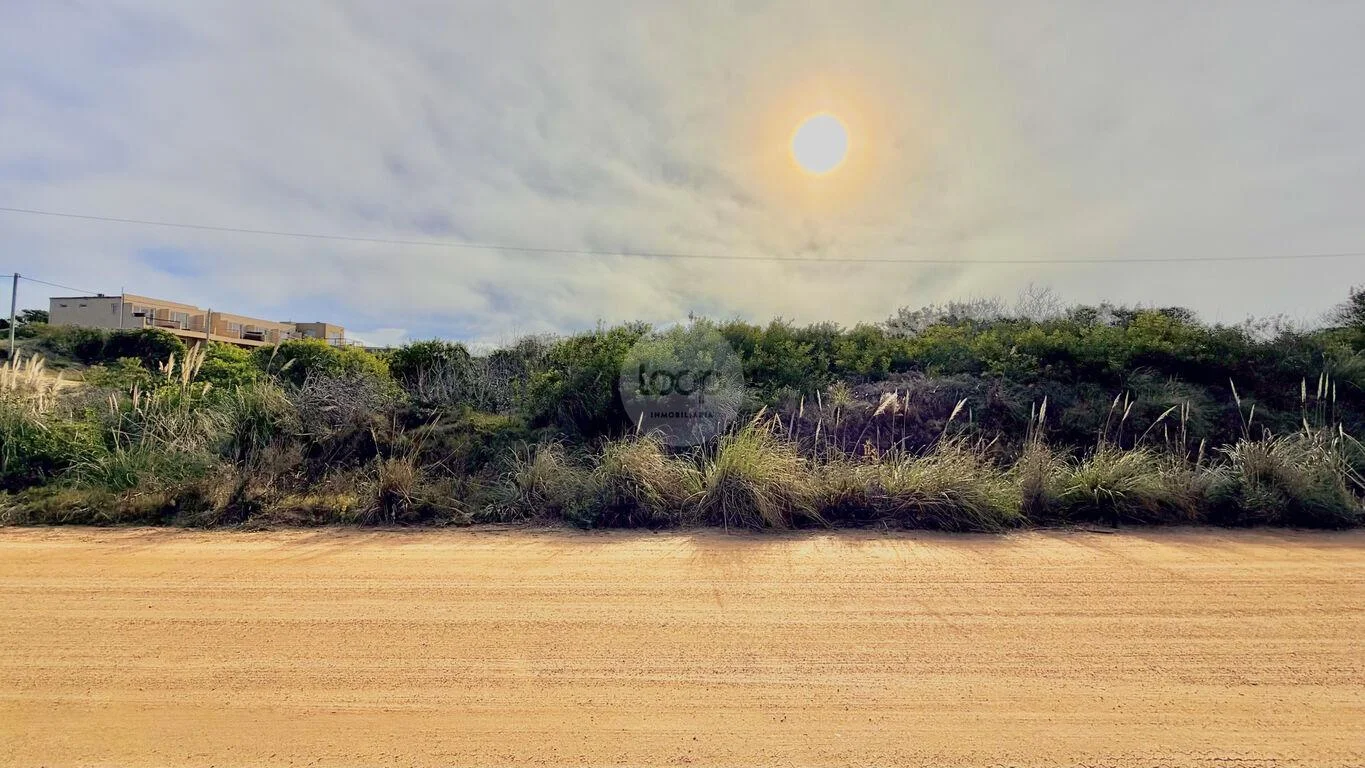 Terreno en La Viuda, propiedad 283591 -Imagen 7