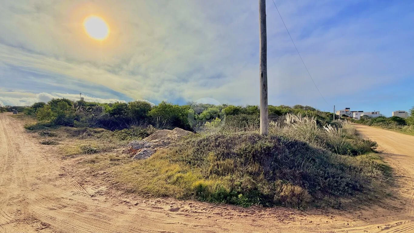 Terreno en La Viuda, propiedad 283591 -Imagen 9