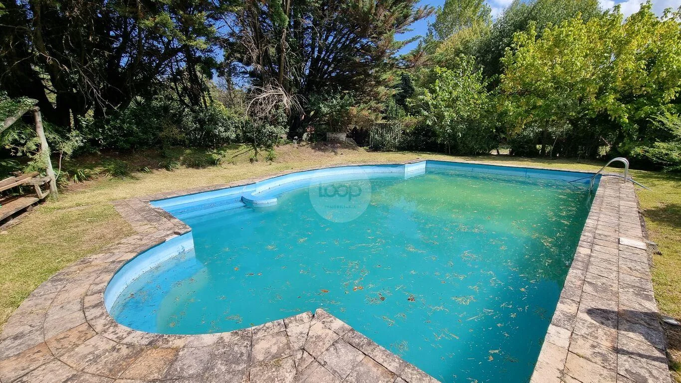 Casa en El Pinar, propiedad 289242 -Imagen 13
