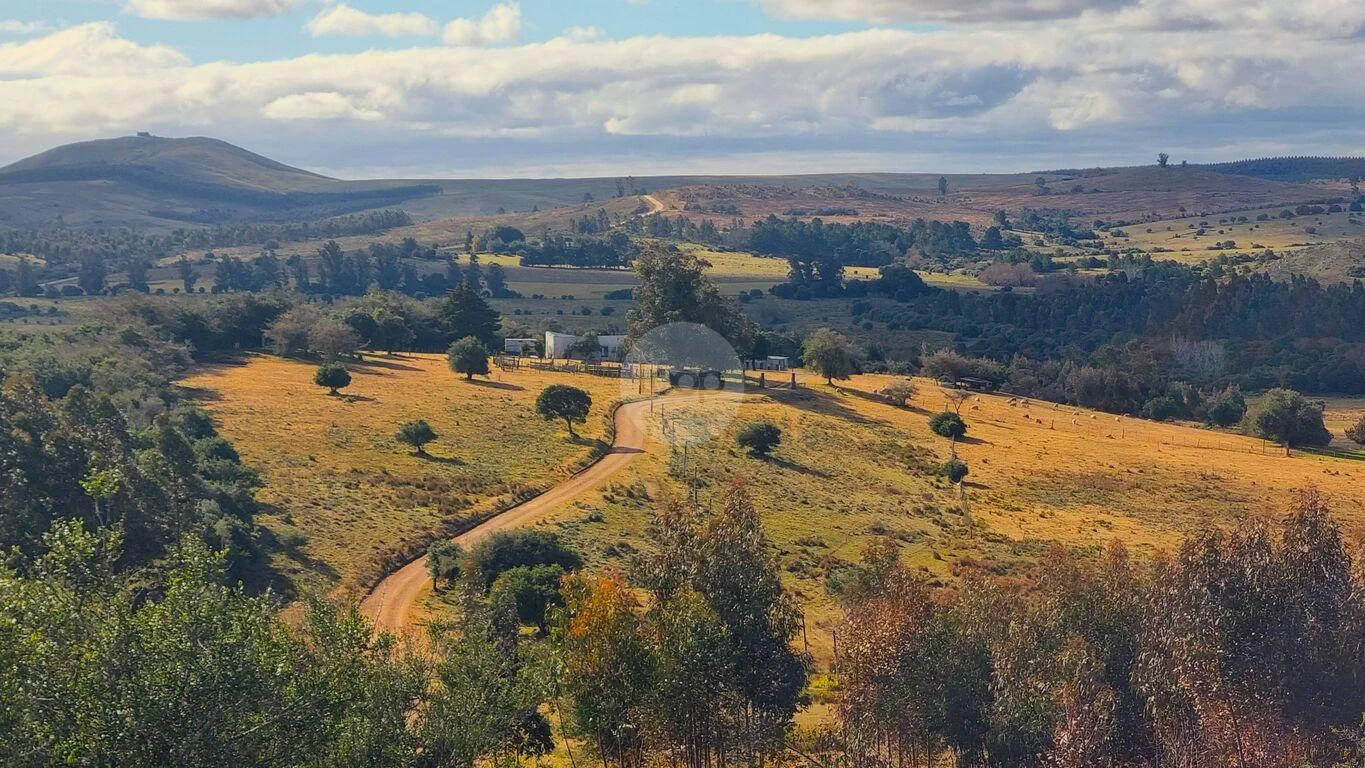 Campo en Minas, propiedad 293893 -Imagen 1