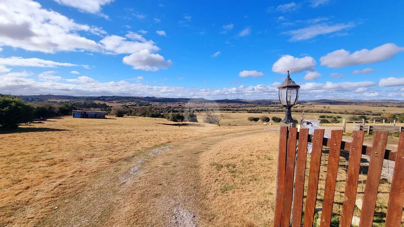 Campo en Minas, propiedad 293893 -Imagen 2