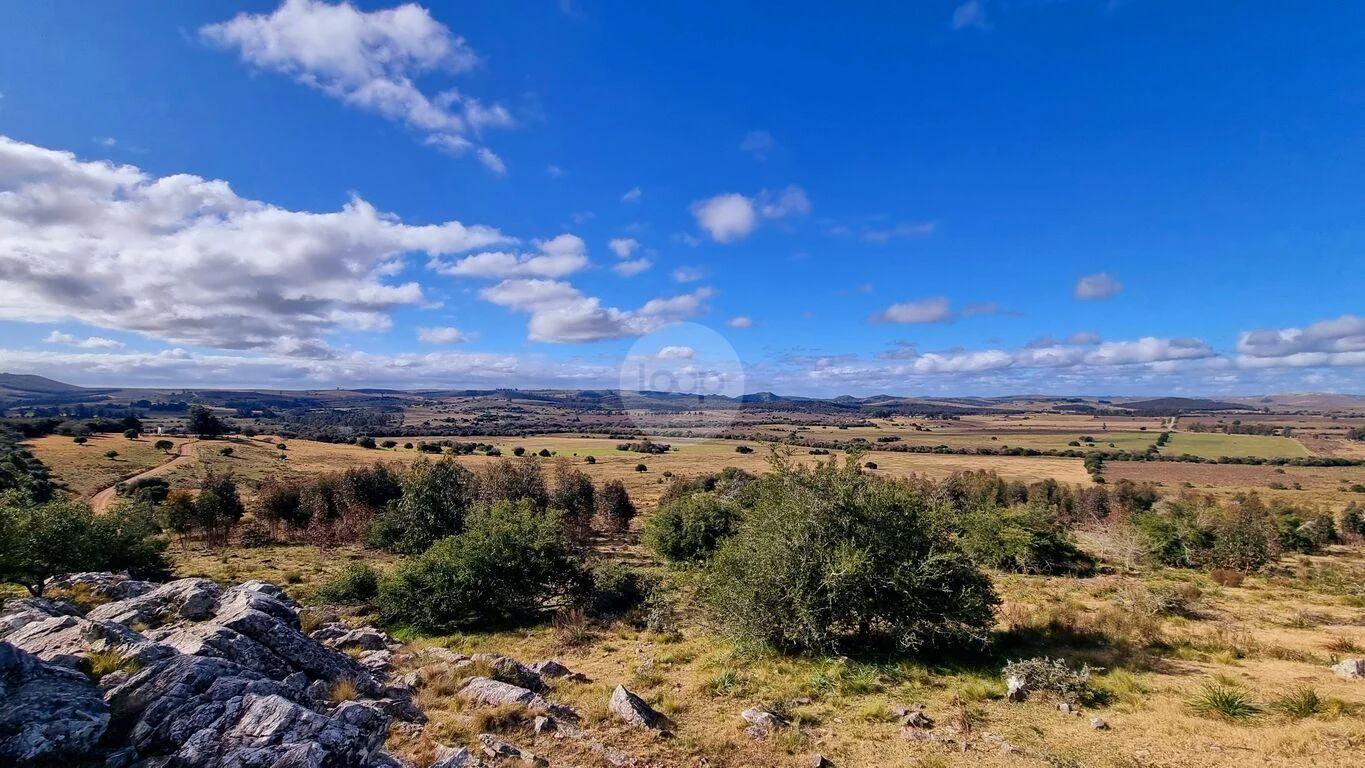 Campo en Minas, propiedad 293893 -Imagen 11