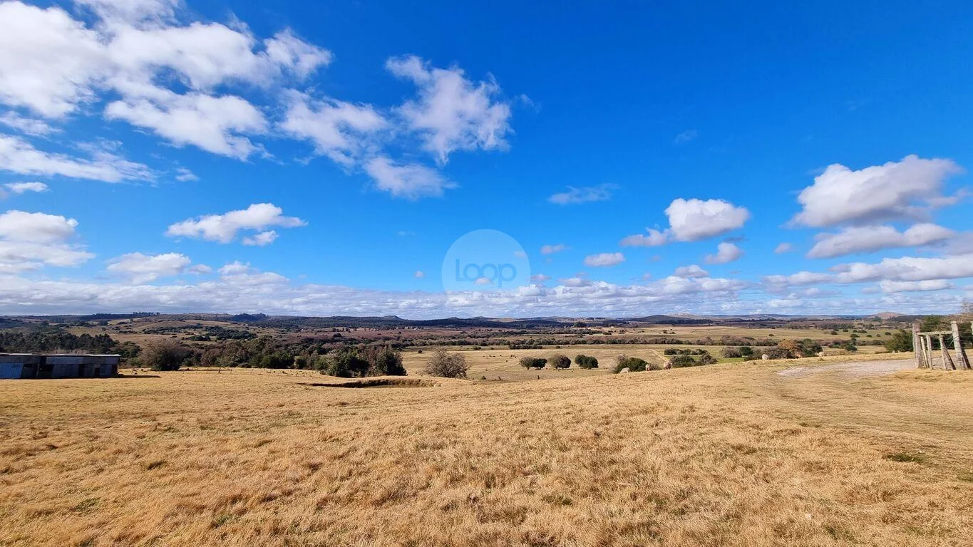Campo en Minas, propiedad 293893 -Imagen 12
