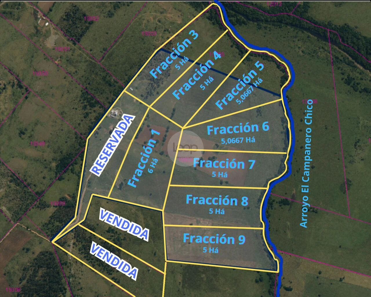 Campo en Minas, propiedad 293893 -Imagen 13