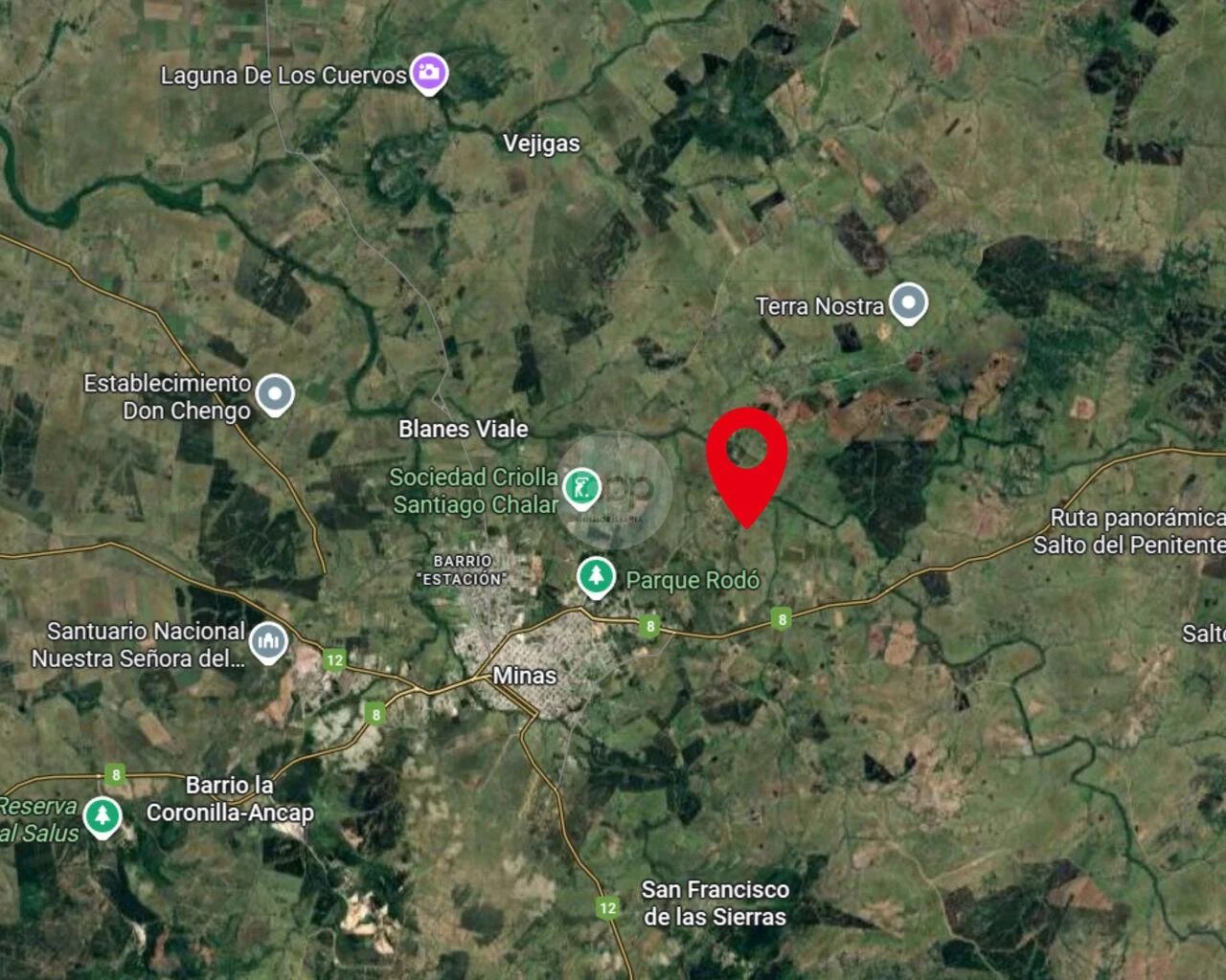 Campo en Minas, propiedad 293893 -Imagen 14
