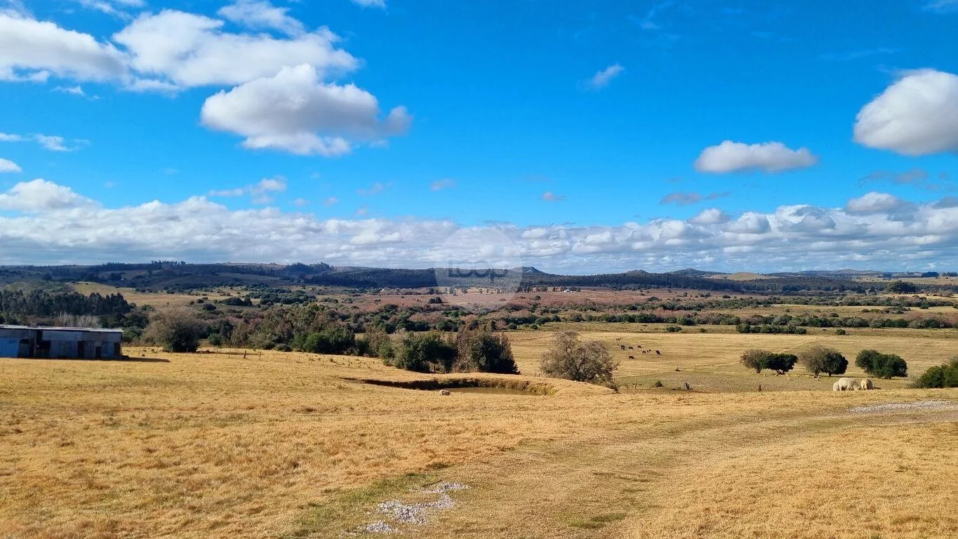 Campo en Minas, propiedad 293893 -Imagen 3