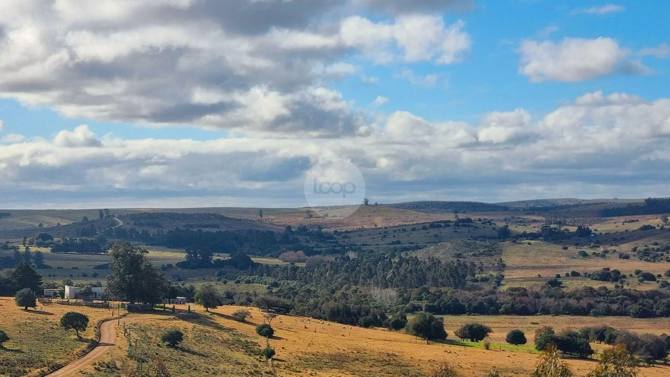 Campo en Minas, propiedad 293893 -Imagen 4