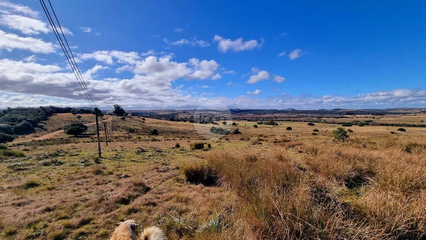 Campo en Minas, propiedad 293893 -Imagen 6