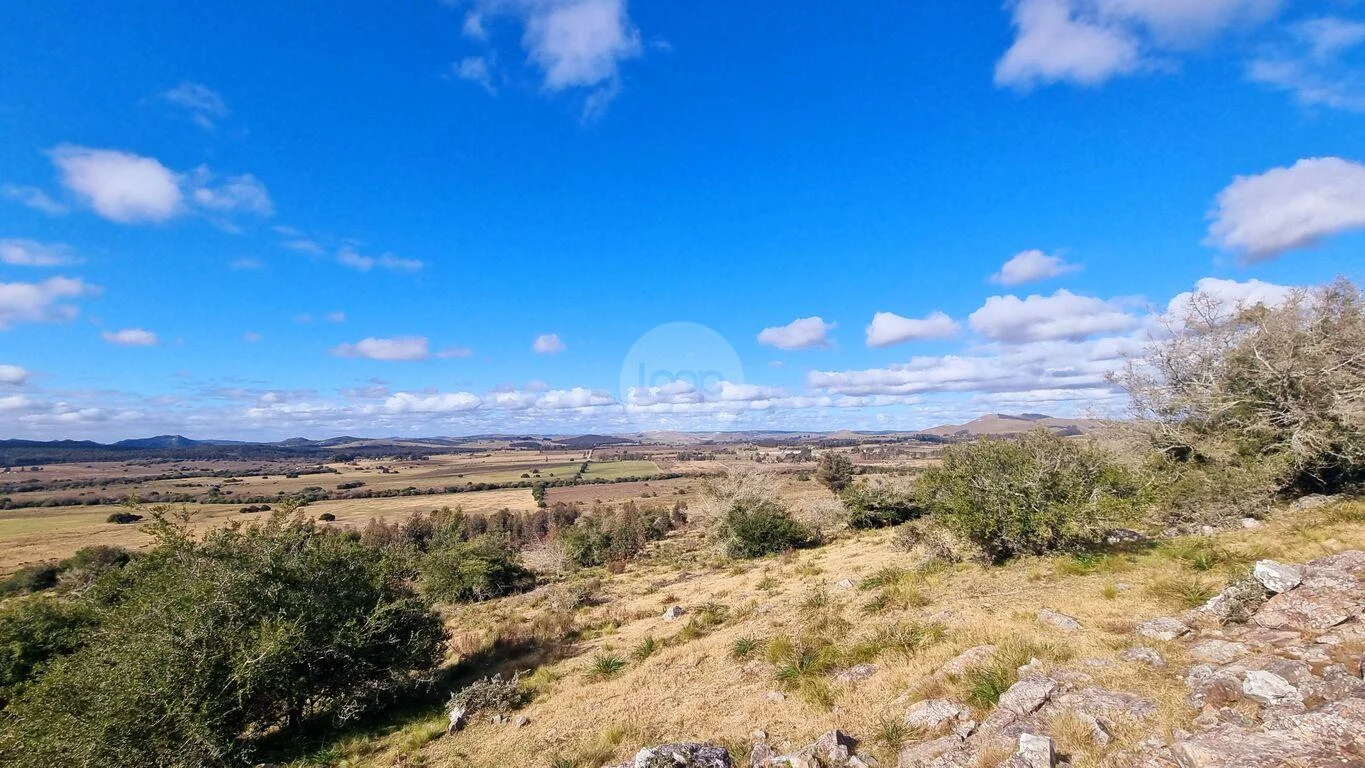 Campo en Minas, propiedad 293893 -Imagen 7