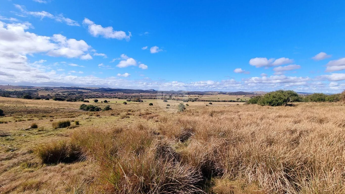 Campo en Minas, propiedad 293893 -Imagen 8