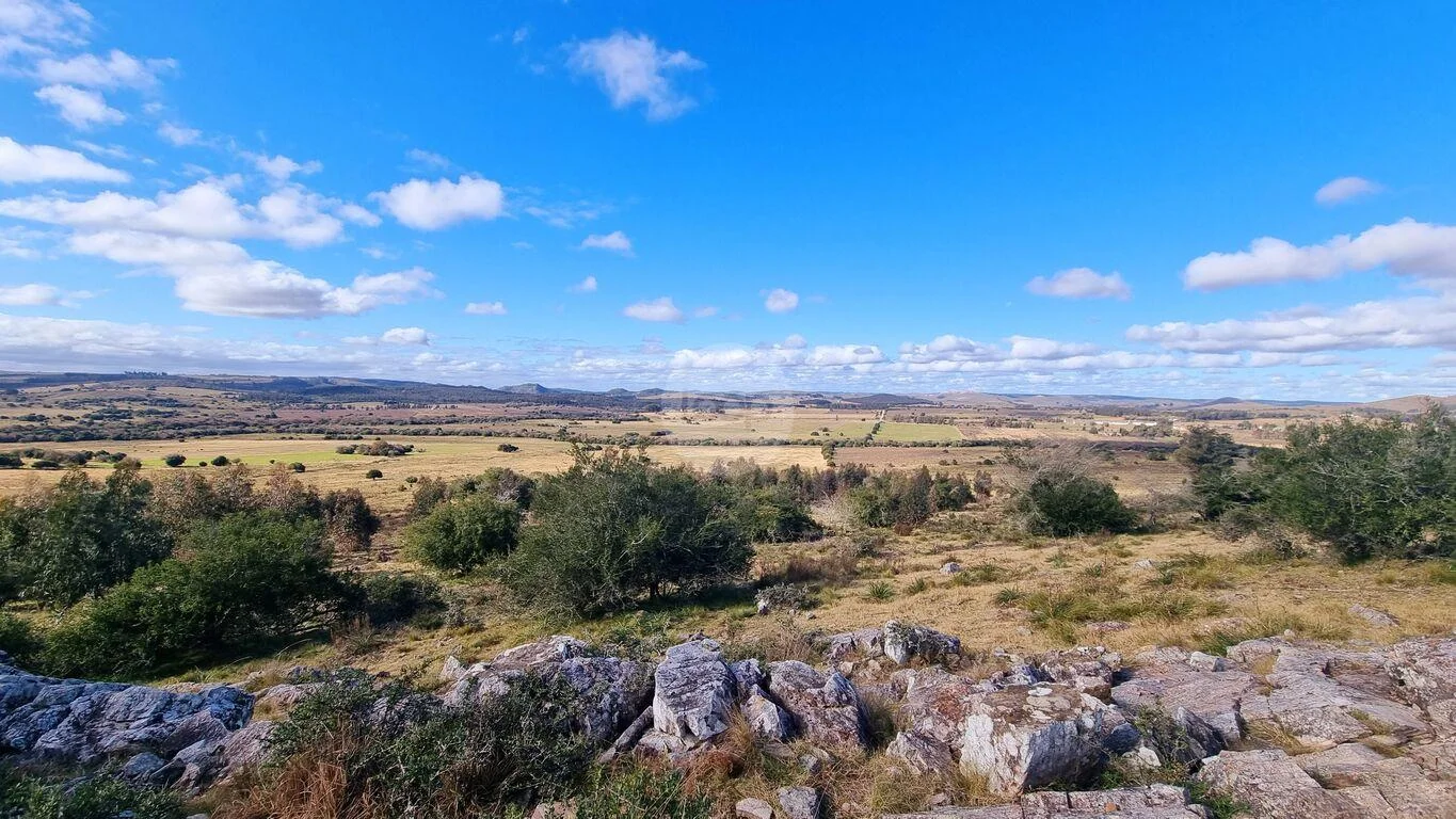 Campo en Minas, propiedad 293893 -Imagen 9
