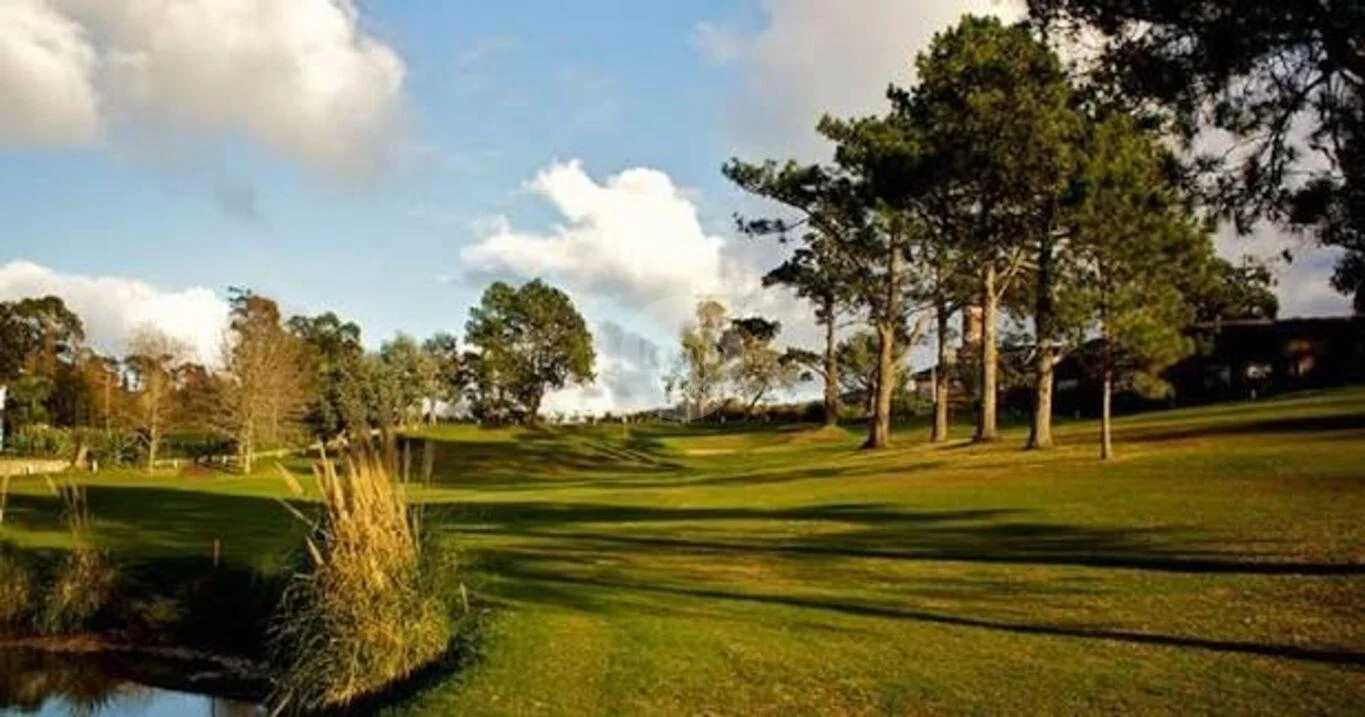 Terreno en Punta del Este, propiedad 295349 -Imagen 11