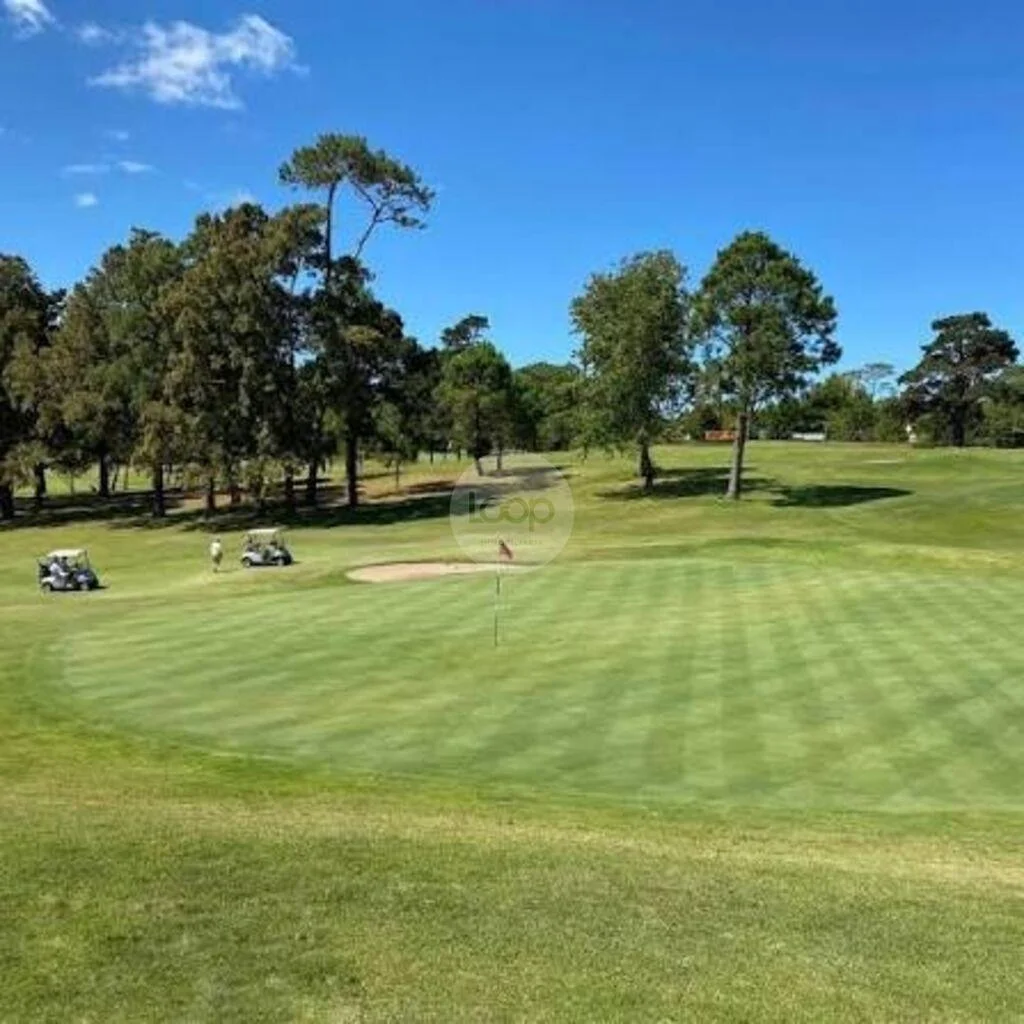 Terreno en Punta del Este, propiedad 295349 -Imagen 10