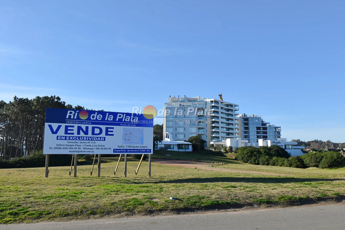 Terreno en Pinares, propiedad 142384 -Imagen 3