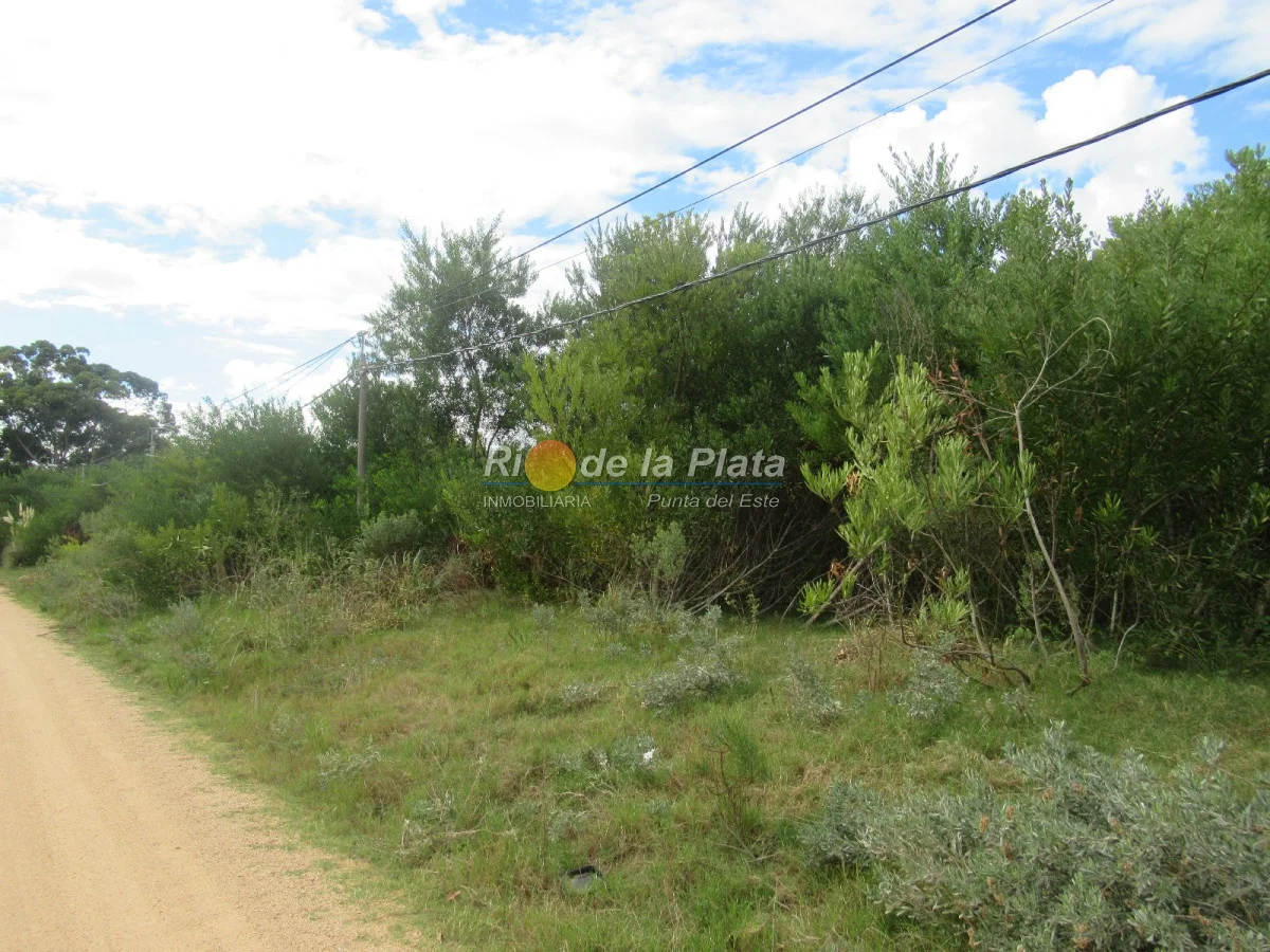 Terreno en Rincón del Indio, propiedad 142412 -Imagen 2