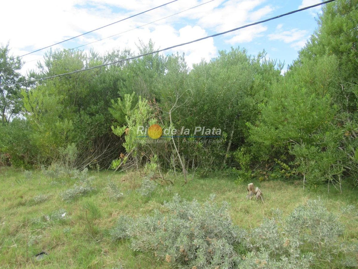 Terreno en Rincón del Indio, propiedad 142412 -Imagen 3