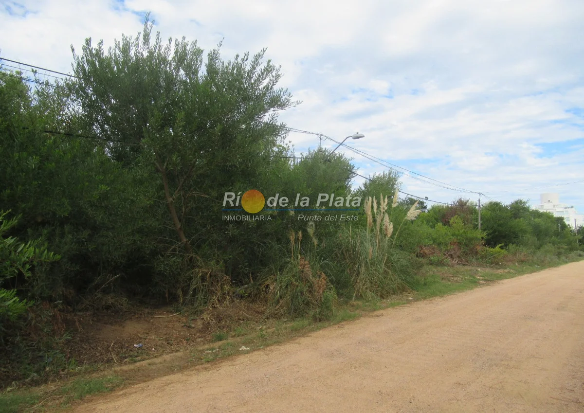 Terreno en Rincón del Indio, propiedad 142412 -Imagen 4