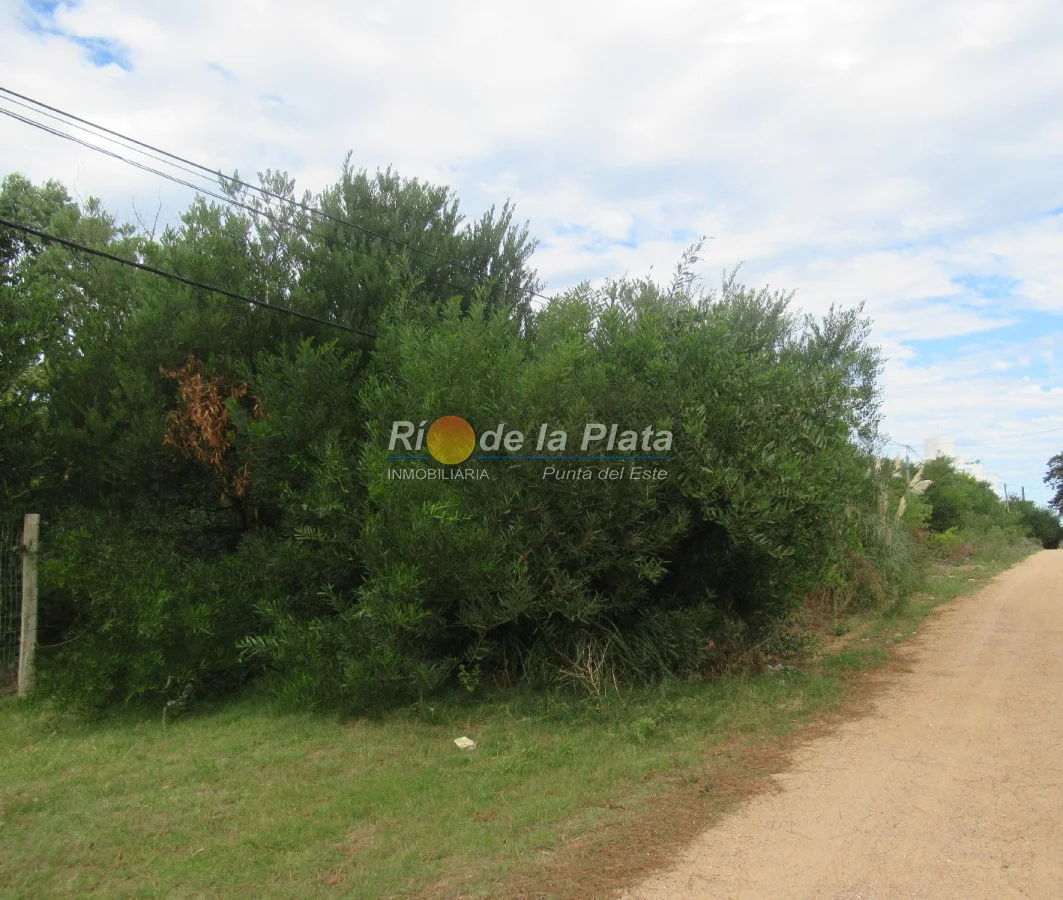 Terreno en Rincón del Indio, propiedad 142412 -Imagen 5