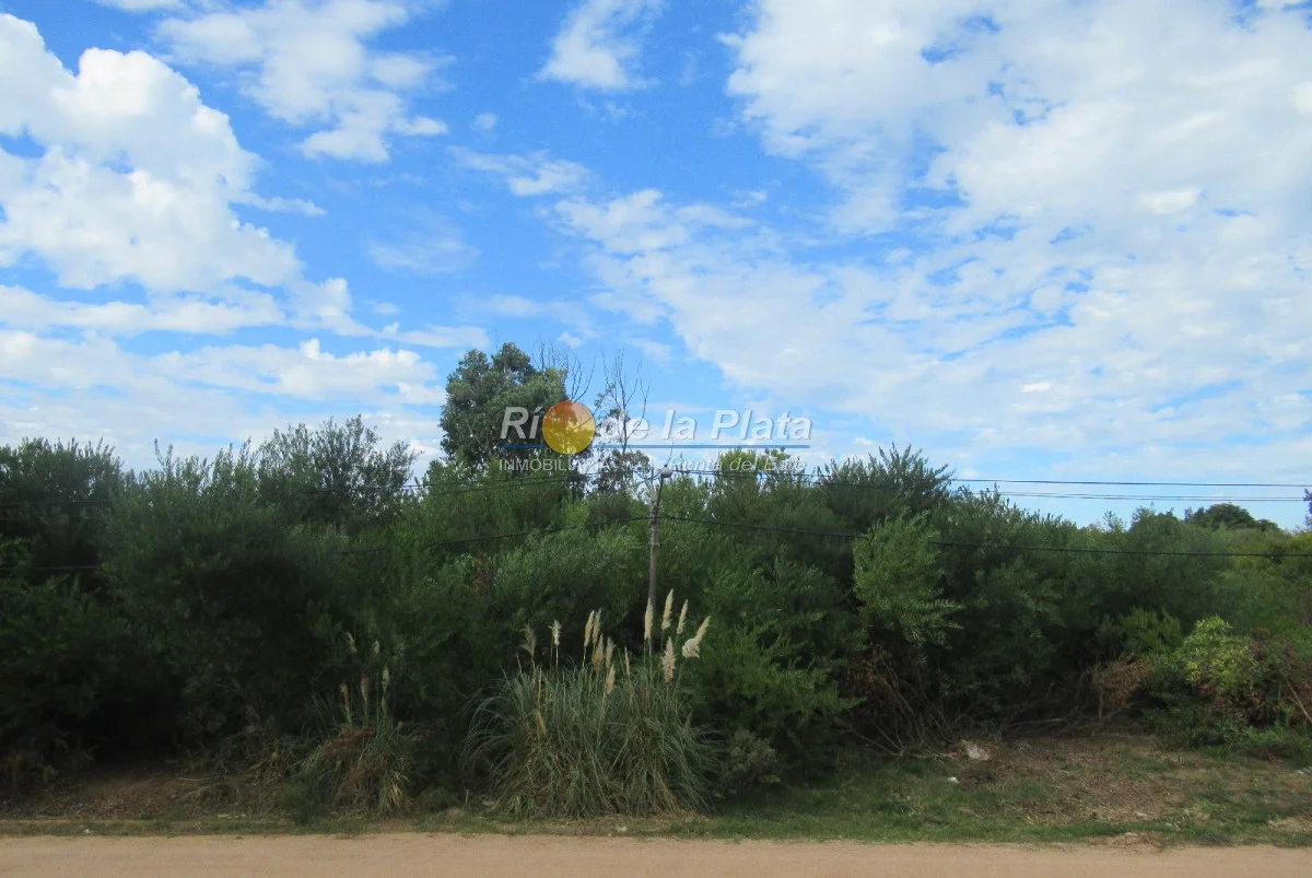 Terreno en Rincón del Indio, propiedad 142412 -Imagen 6