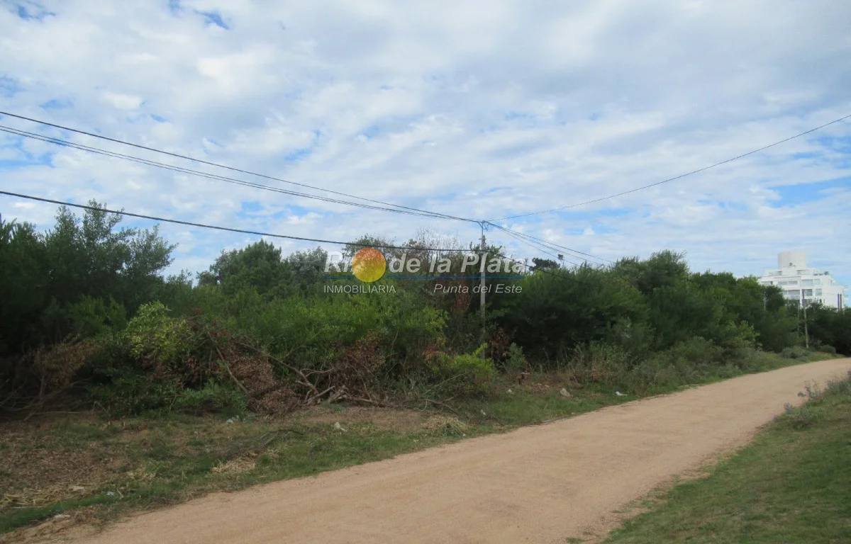 Terreno en Rincón del Indio, propiedad 142412 -Imagen 8
