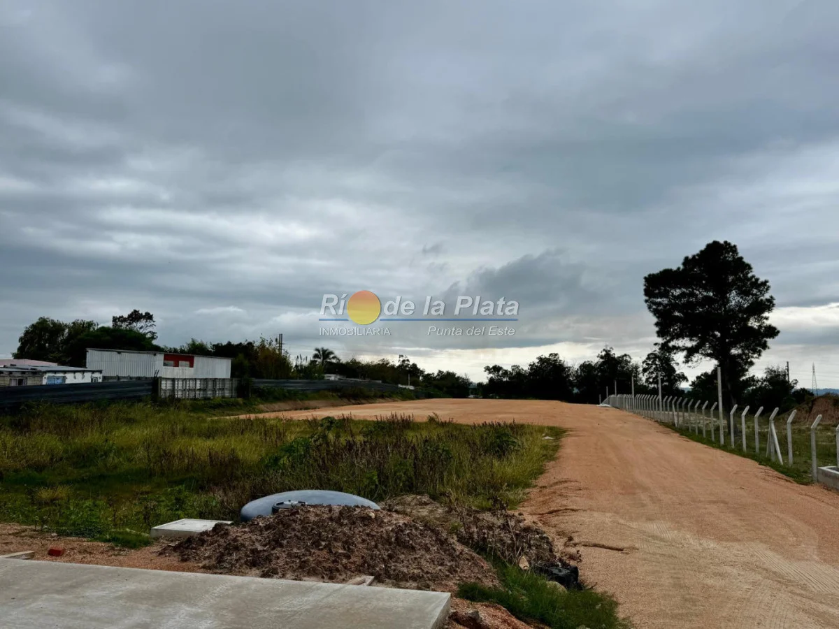Local en Maldonado, propiedad 293763 -Imagen 9
