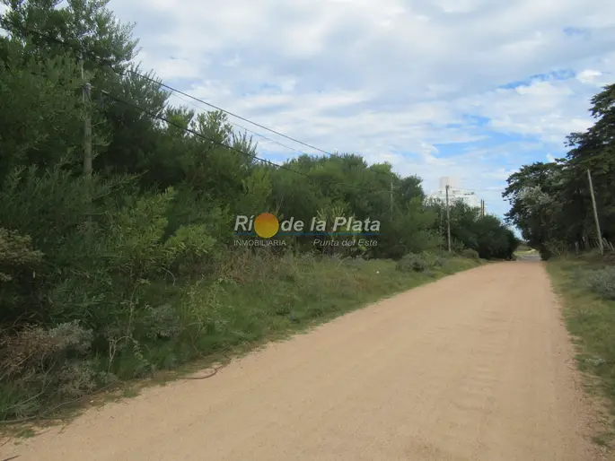 imagen  de la propiedad 142412