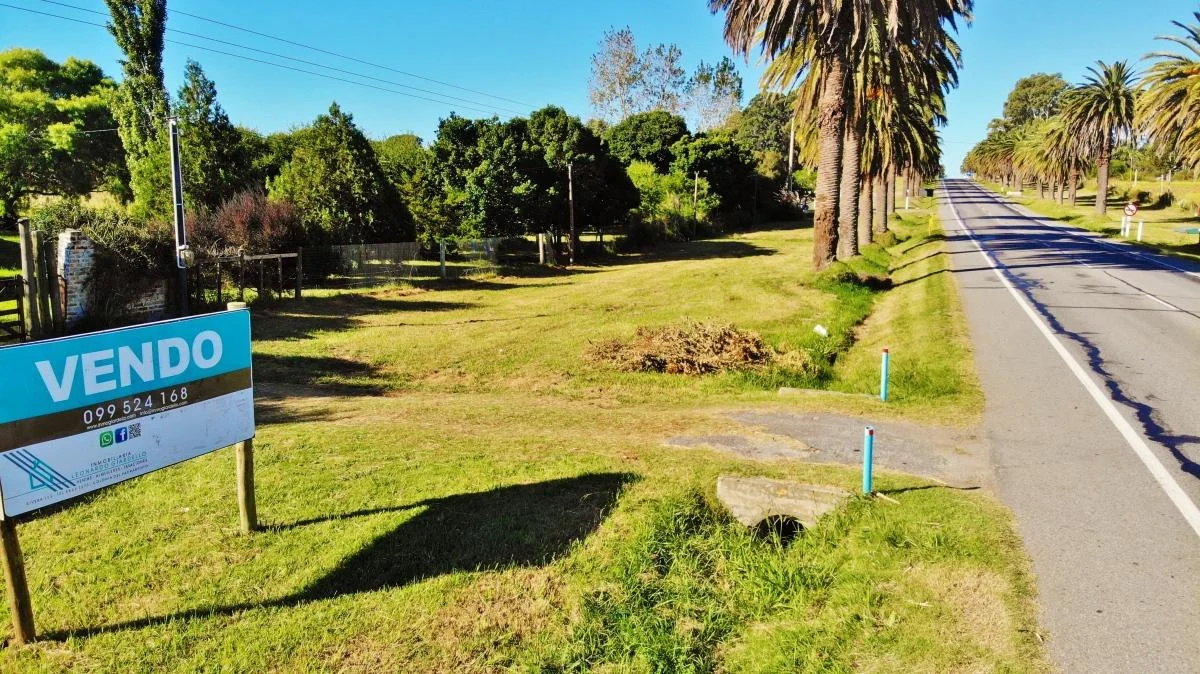 Chacra en Riachuelo, propiedad 141613 -Imagen 13