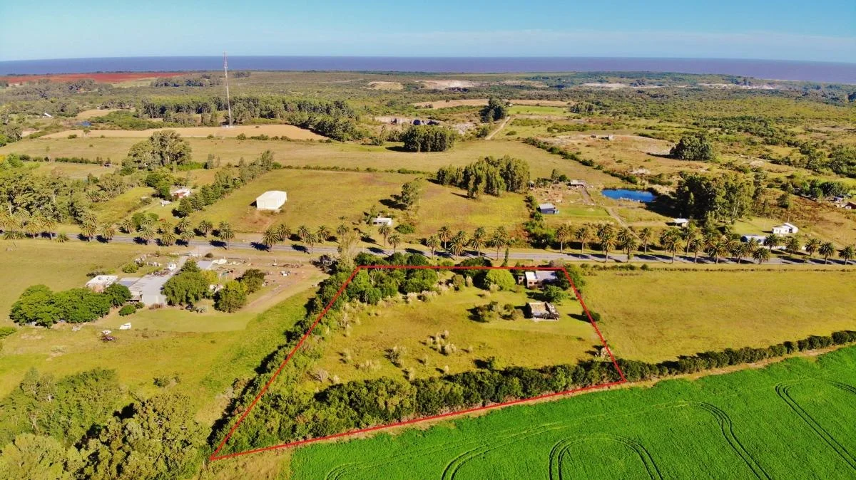 Chacra en Riachuelo, propiedad 141613 -Imagen 14