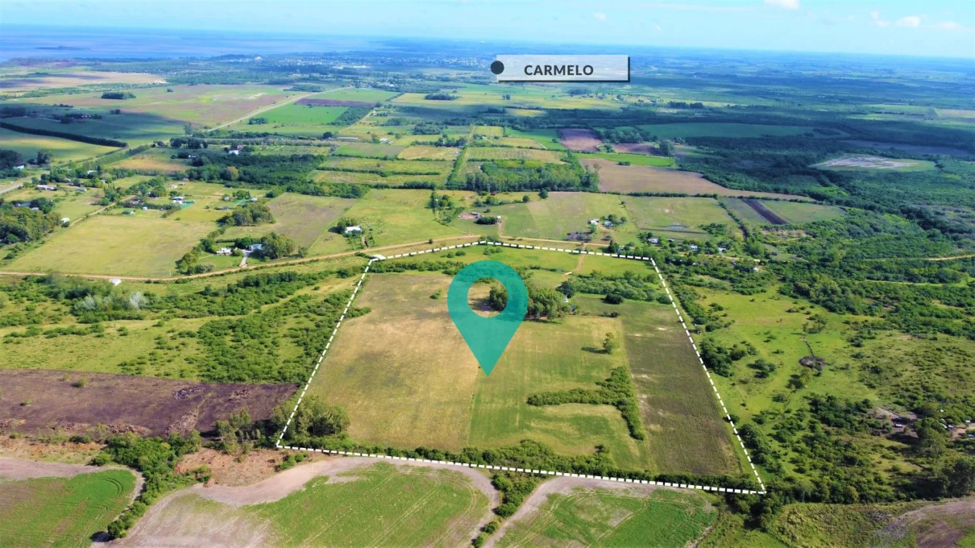 Chacra en Carmelo, propiedad 141619 -Imagen 1
