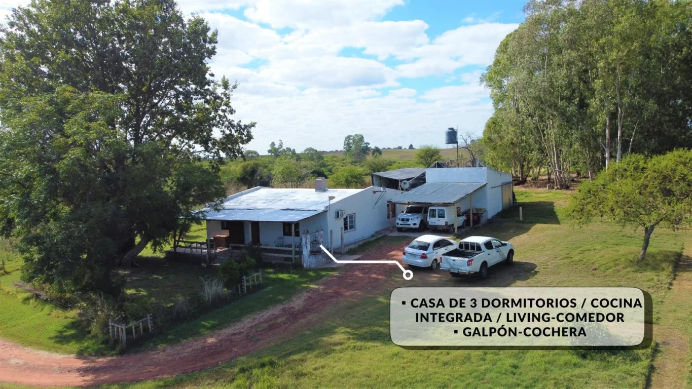 Chacra en Carmelo, propiedad 141619 -Imagen 5