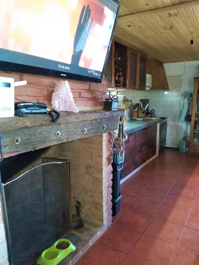 Chacra en Carmelo, propiedad 141619 -Imagen 8