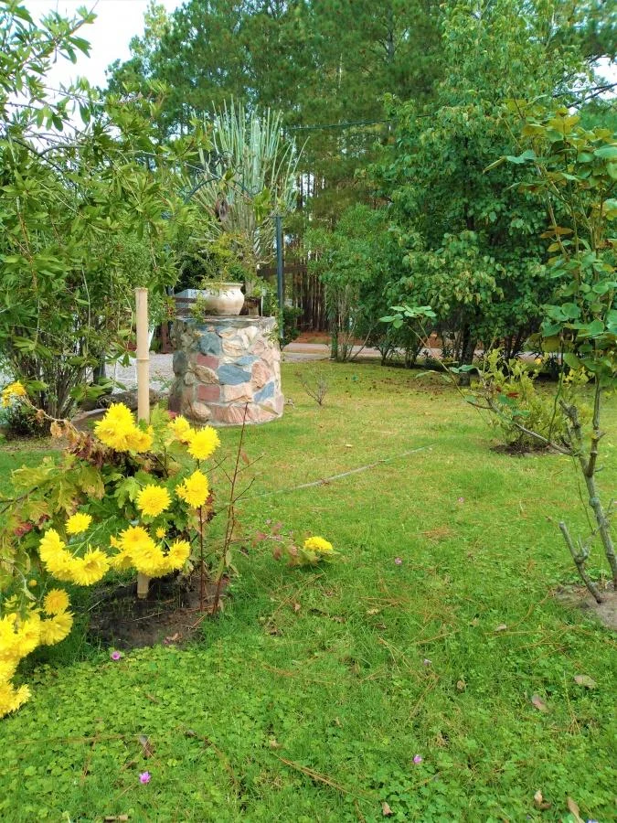 Casa en Carmelo, propiedad 141644 -Imagen 19