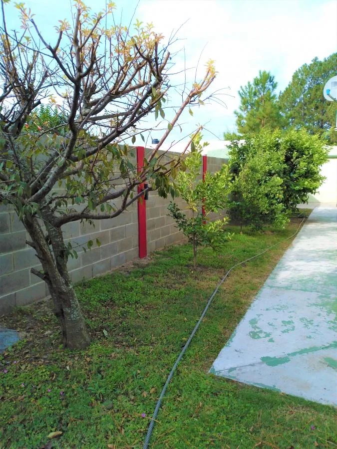 Casa en Carmelo, propiedad 141644 -Imagen 20