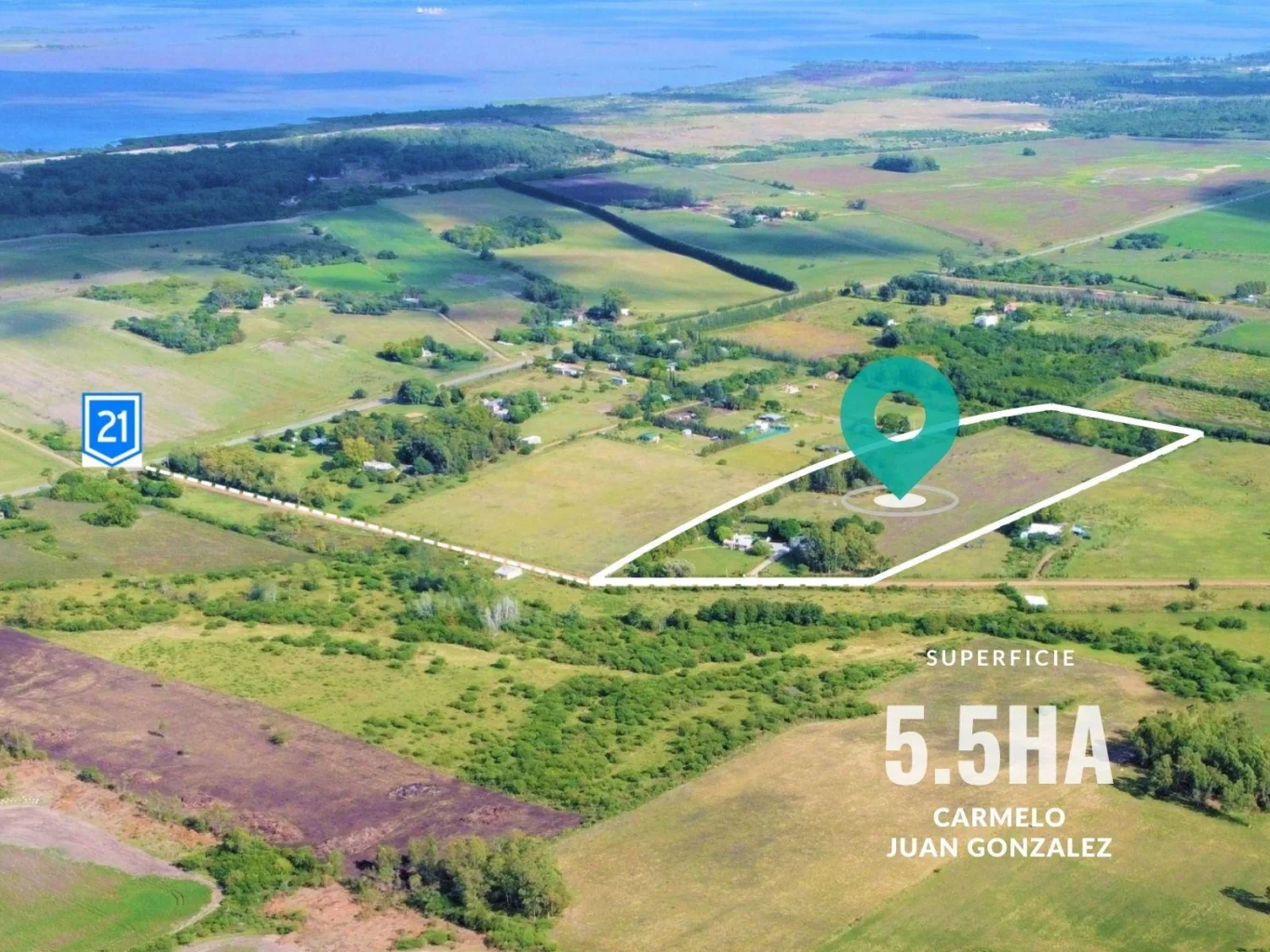Chacra en Carmelo, propiedad 141685 -Imagen 11