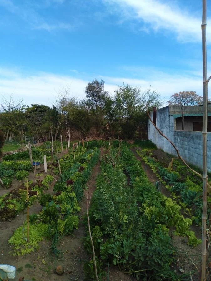 Casa en Carmelo, propiedad 141718 -Imagen 9