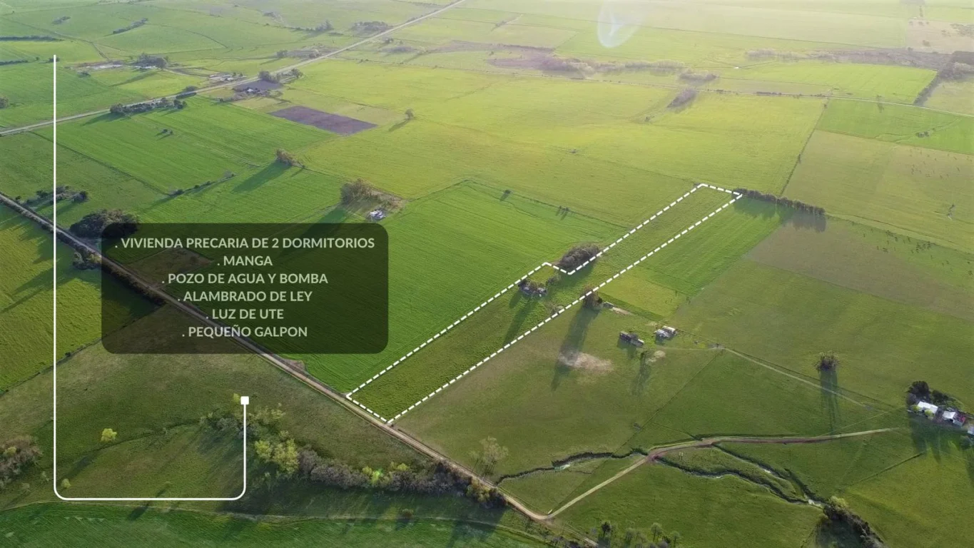 Chacra en Carmelo, propiedad 143009 -Imagen 3