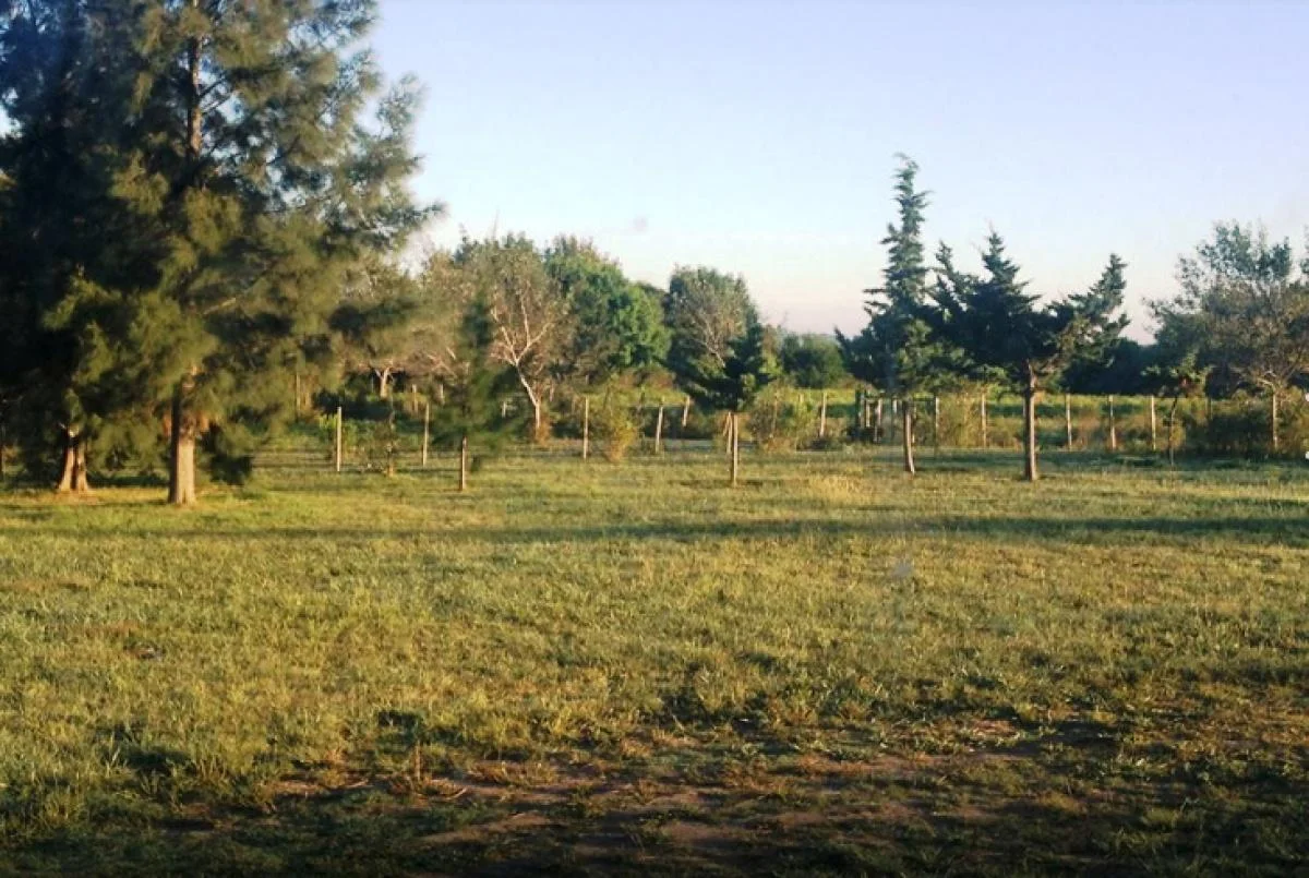 Chacra en San Pedro, propiedad 146159 -Imagen 8