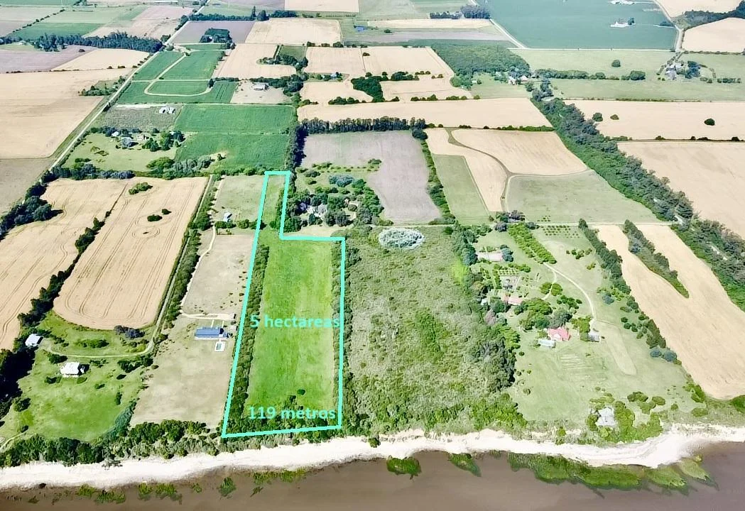 Chacra en San Pedro, propiedad 146202 -Imagen 3