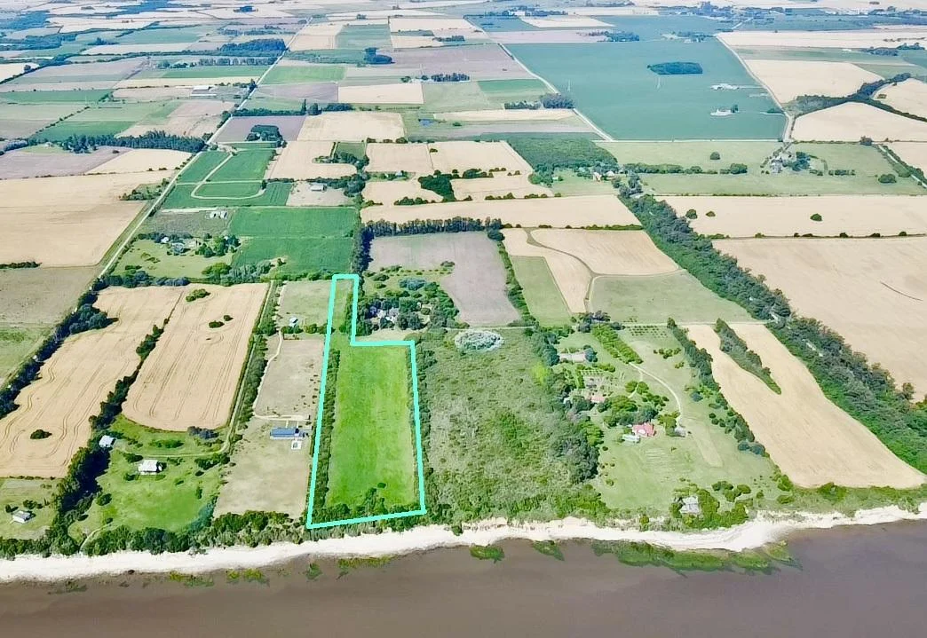 Chacra en San Pedro, propiedad 146202 -Imagen 4