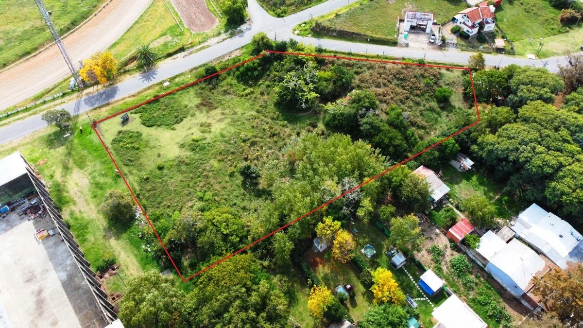 Terreno en Real de San Carlos, propiedad 146225 -Imagen 3