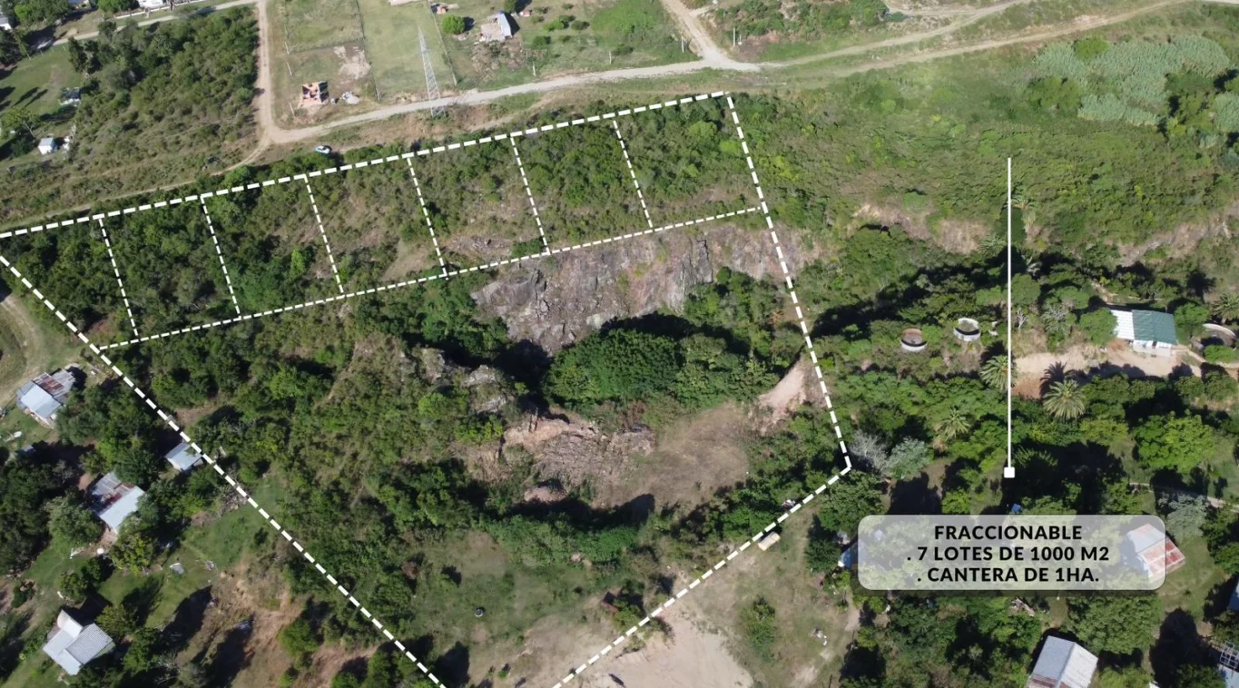 Terreno en Conchillas, propiedad 153873 -Imagen 2