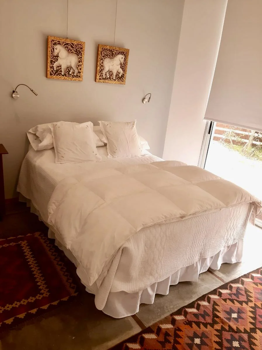 Casa en Real de San Carlos, propiedad 163119 -Imagen 15